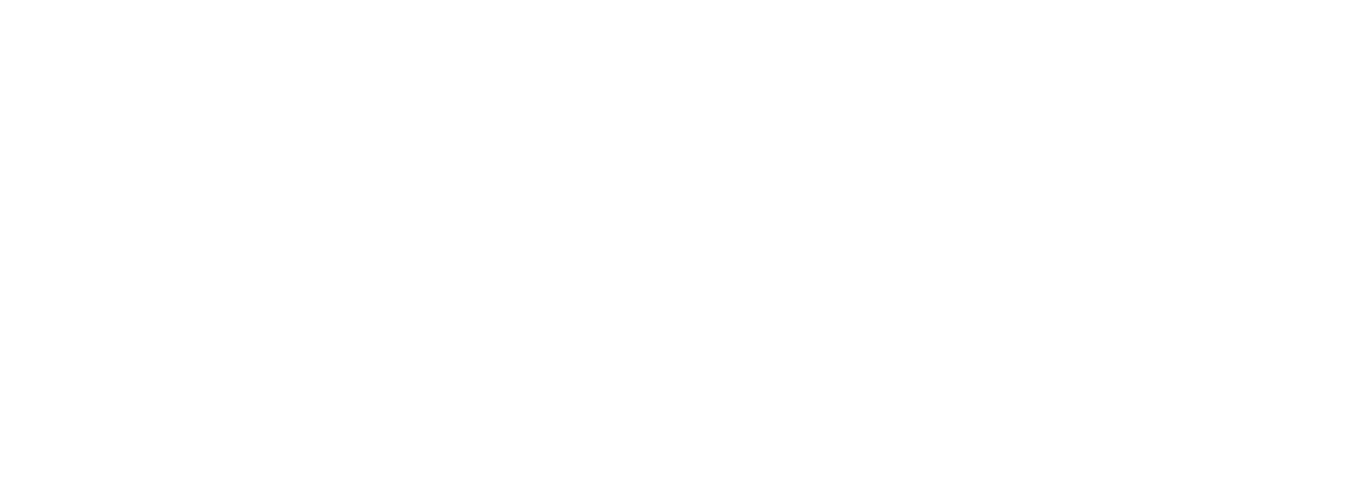 Stichting Matchis logo